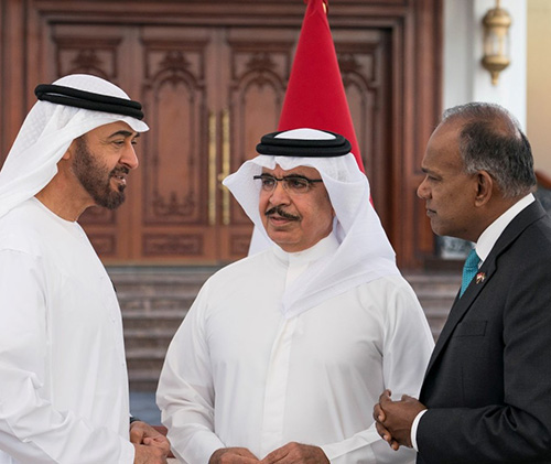 Abu Dhabi Receives Interior Ministers, Security Alliance Officials