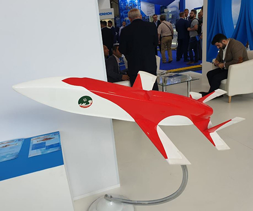 Iran Introduces ‘Mobin’ Cruise Missile at MAKS 2019