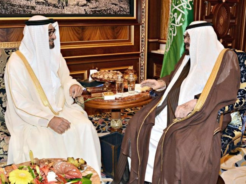 Saudi King Receives Crown Prince of Abu Dhabi