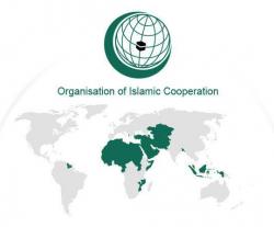 Islamic Countries Agree to Work Closely to Fight Terrorism