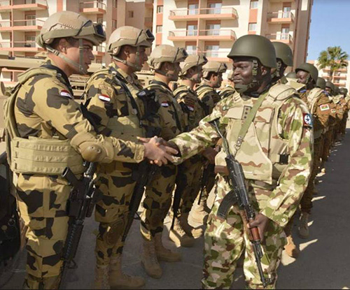 Egypt, Sahel-Saharan States Start Counter-Terrorism Drills 