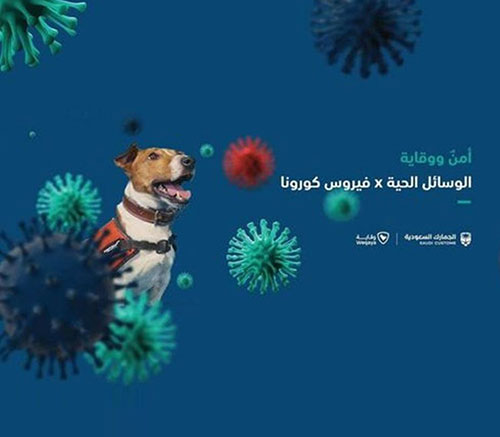 UAE, Saudi Arabia Use Sniffer Dogs to Detect COVID-19 Patients at Airports