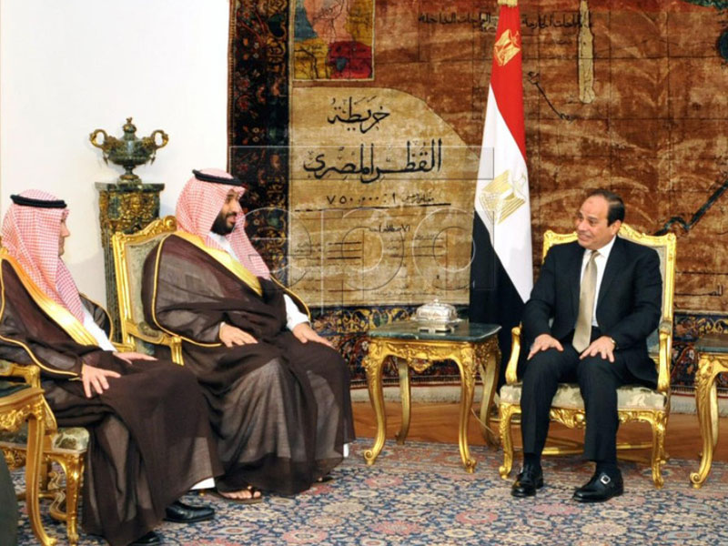 Egyptian President, Saudi Defense Minister Meet in Cairo
