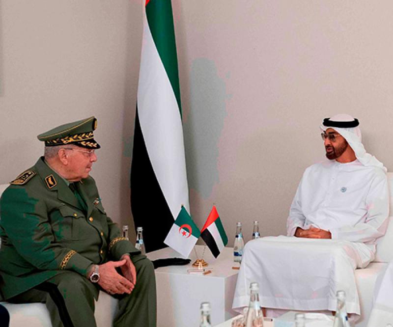 Abu Dhabi Crown Prince Receives Algerian Deputy Defense Minister