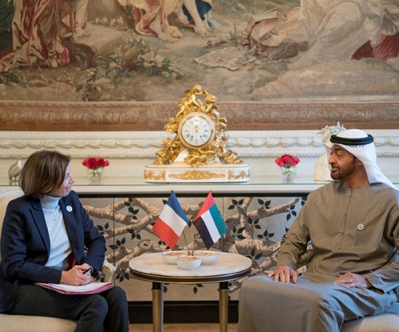 UAE, France Discuss Joint Military Cooperation